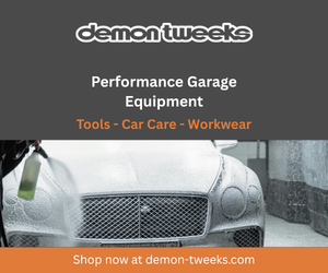 Demon Tweeks